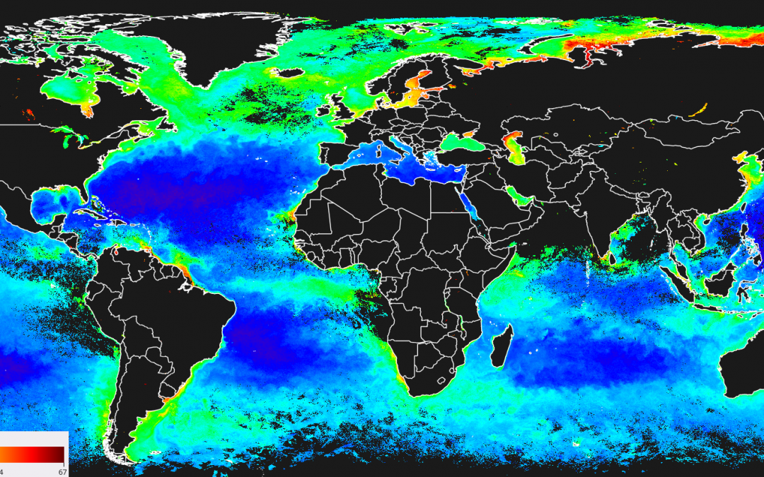 FCT has ten scholarships on Ocean Colour Research