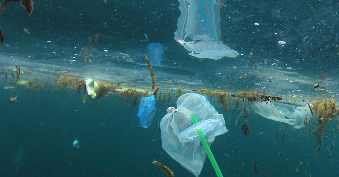 Project SMART wins first edition  of the AI Moonshot Challenge