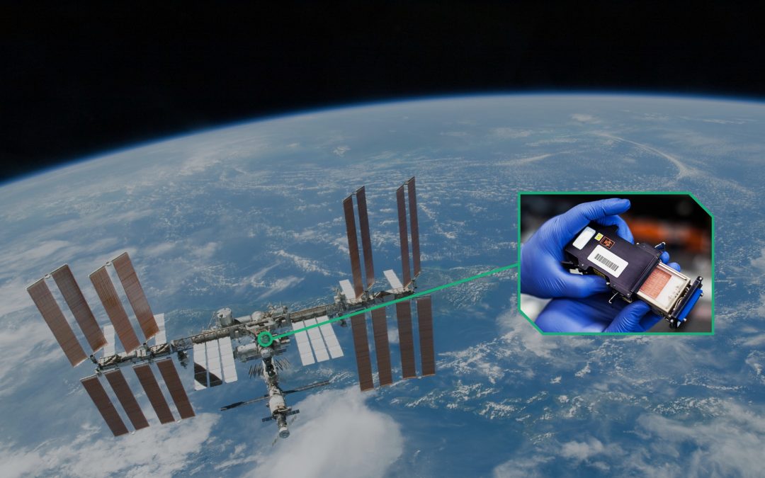 Better crystals and 3D cell culturesHow microgravity helps in drug discovery and efficacy