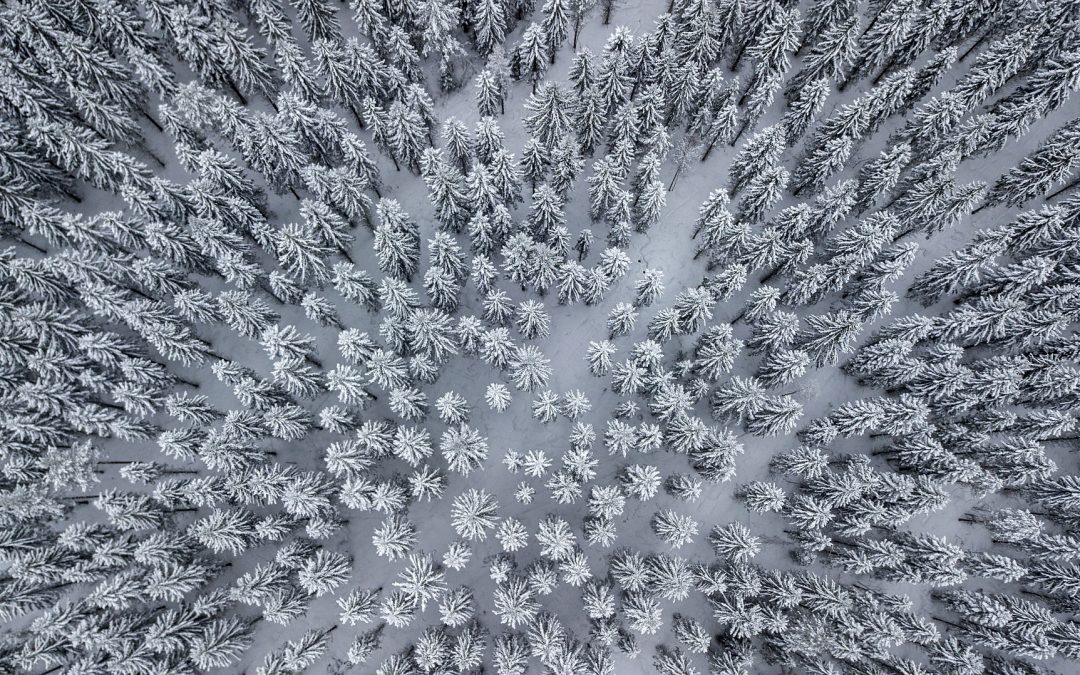 It’s time for sharing