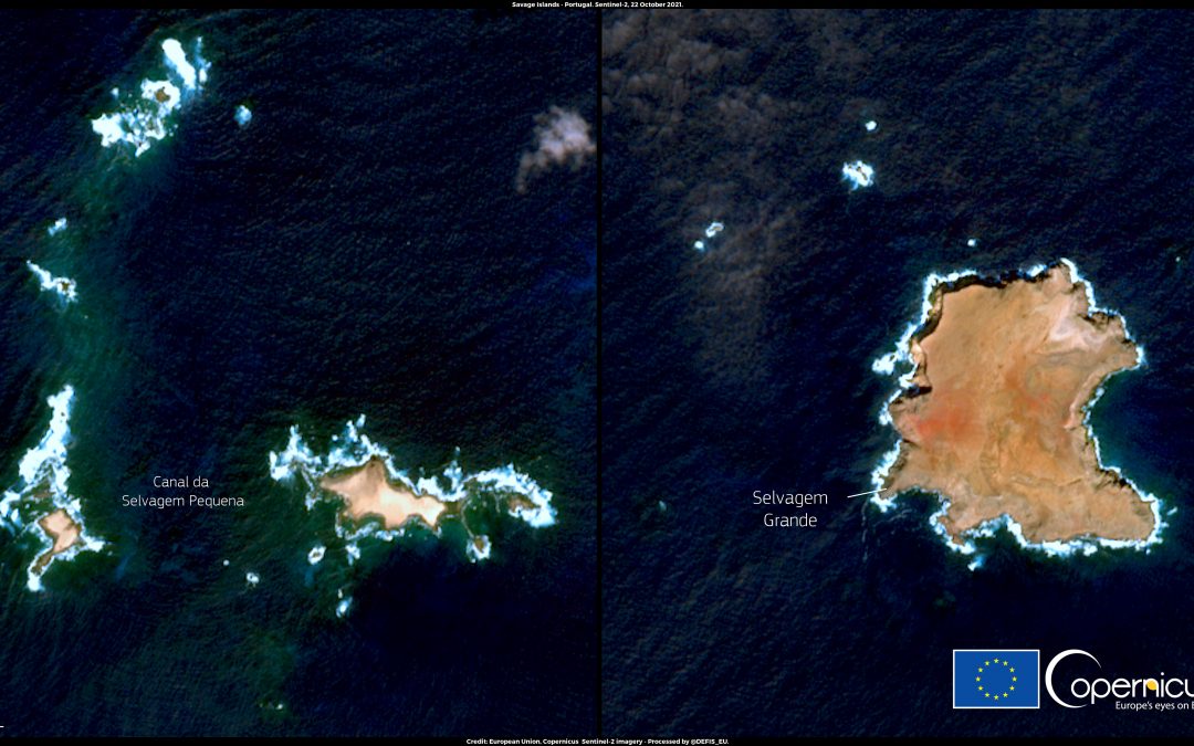 Once again, Portugal promotes the use of Copernicus data for ocean and coastal area