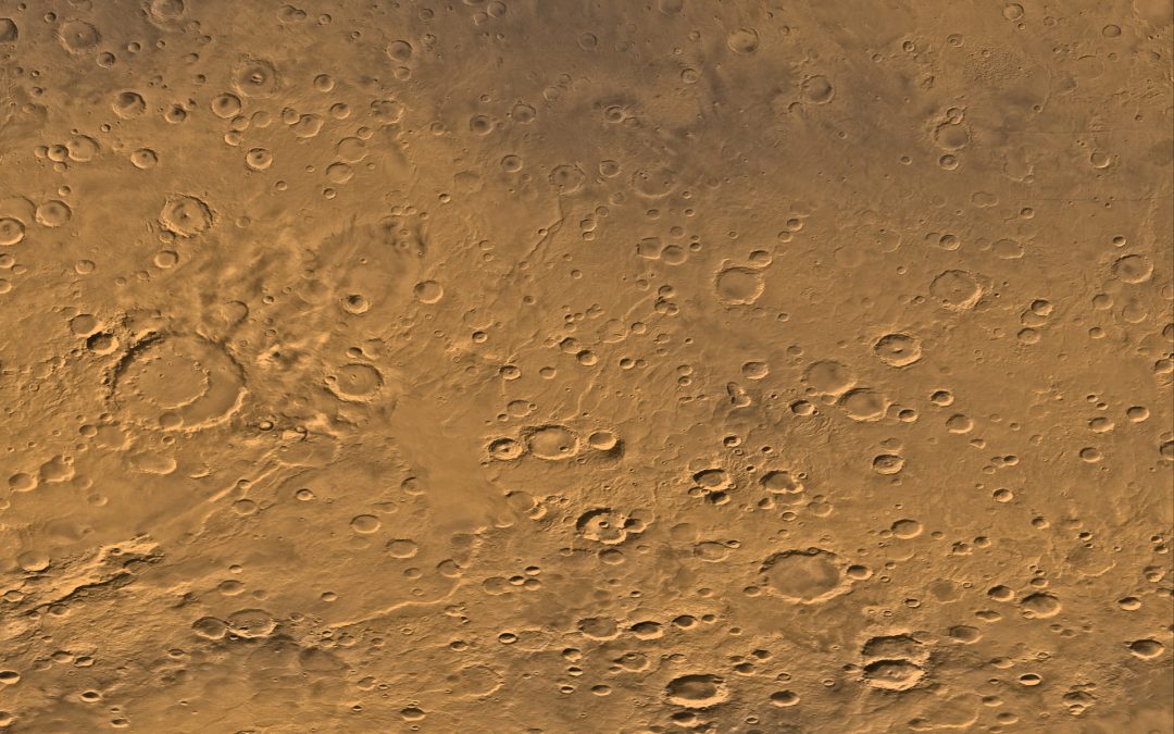 PROSSE 2024 opens with seminar