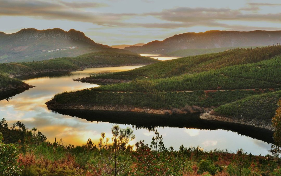 “Earth Observation for Municipalities” in the Portuguese Central region