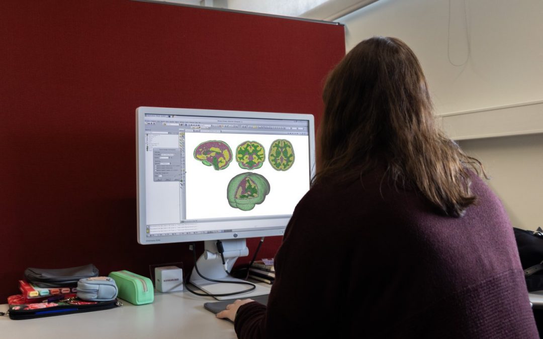 Projects by IST and INEGI win the 2025 edition of PROSSE